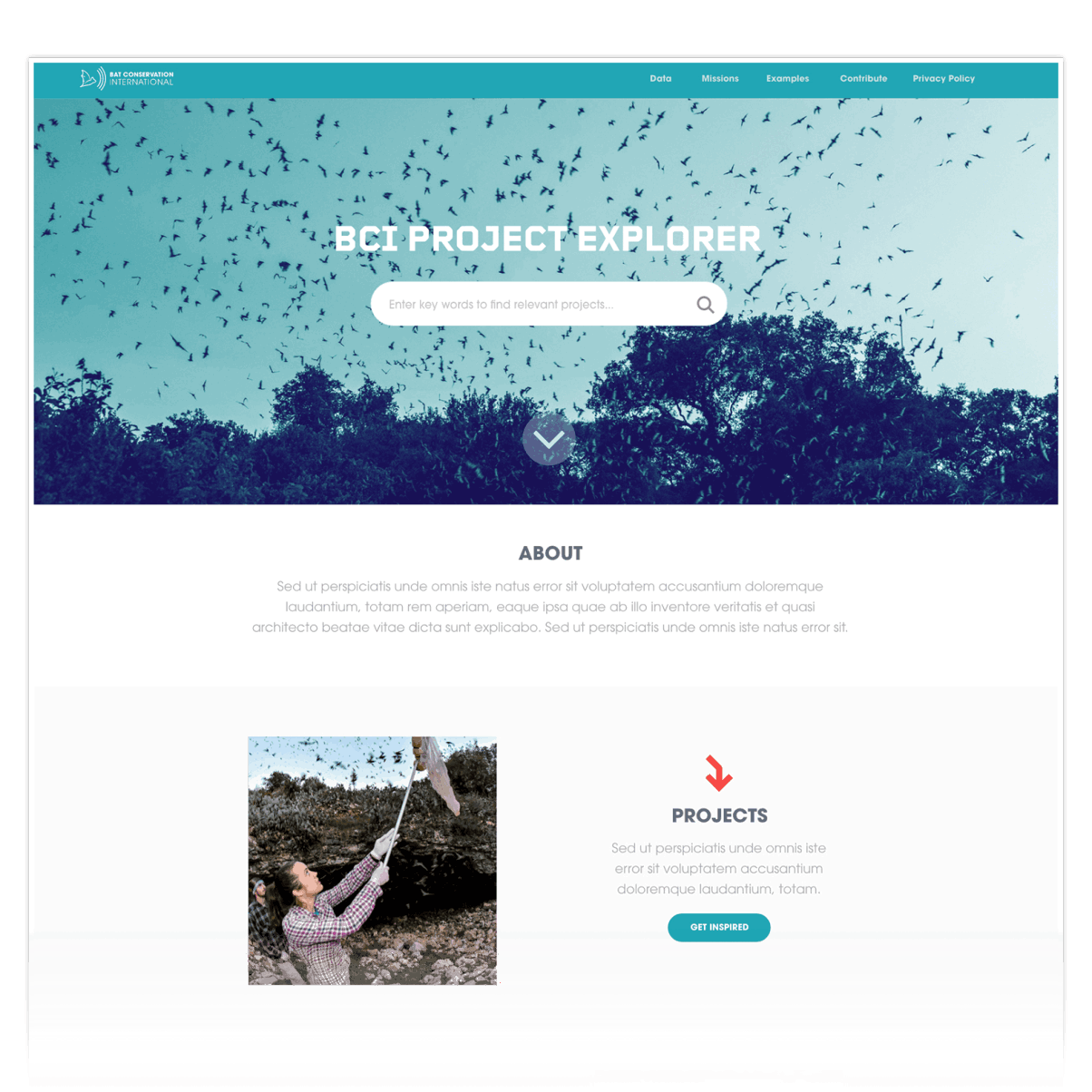 Bat Conservation Internation - makepath